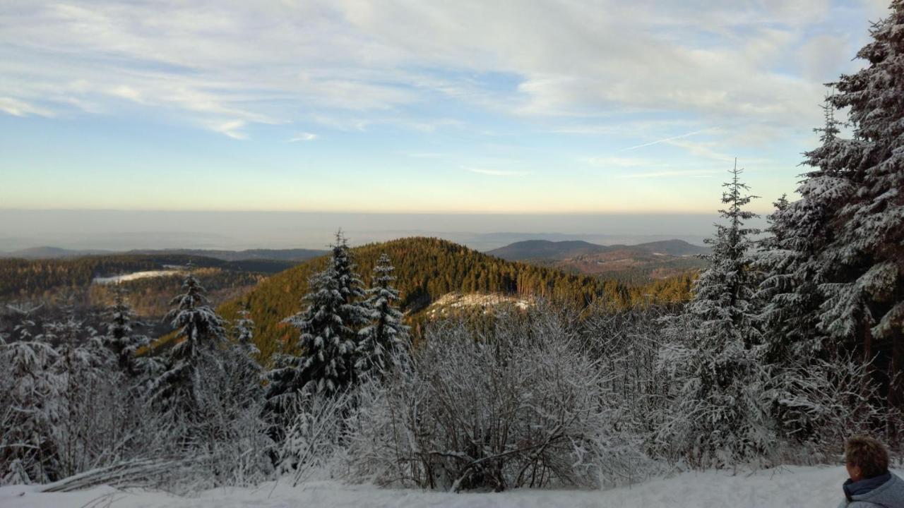Luxus-Fewo-Kleine-Auszeit-Kinder-U-Hundefreundlich Goslar Exteriör bild